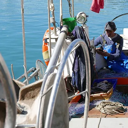 La Cigale By K6 Conciergerie Prestige *